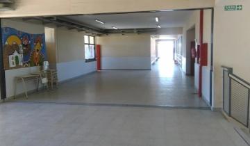 Imagen de Violencia escolar en Mar del Plata: una alumna de primaria golpeó a la directora y fue hospitalizada