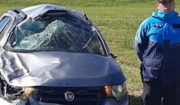 Imagen de General Conesa: volcó en la Ruta 11, avisó a la policía y terminó aprehendido porque el auto era robado