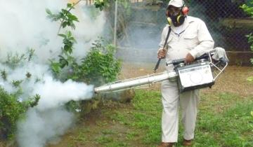 Imagen de La OMS aseguró que el cambio climático aumentó la circulación de dengue