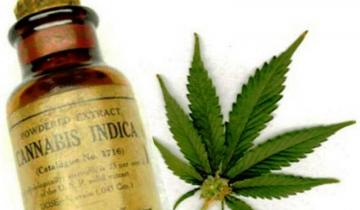 Imagen de La Defensoría del Pueblo pidió que se amplíe la entrega gratuita de aceite de cannabis para tratar más enfermedades