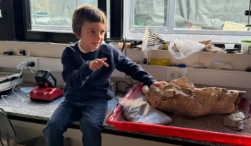 Imagen de Mar del Plata: un nene de 4 años encontró el cráneo de un perezoso gigante que extinguió hace 15.000 años