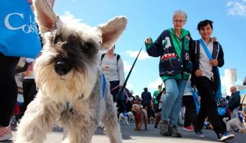 Imagen de Se realiza la 2ª caminata con perros en Santa Teresita