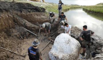Imagen de General Guido: revelaciones tras el hallazgo de fósiles de un ciervo de hace 15.000 años en Labardén