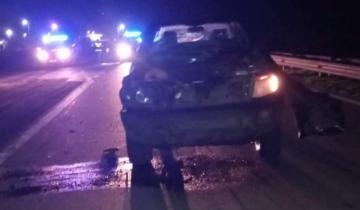 Imagen de Dolores: un conductor chocó un caballo en Ruta 63
