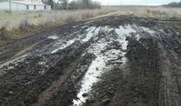 Imagen de Confirmaron que continuarán las obras para reparar caminos rurales