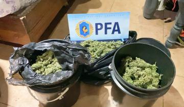 Imagen de Villa Gesell: tras un allanamiento secuestran una importante cantidad de marihuana