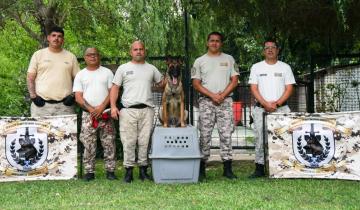 Imagen de Dolores: la Unidad Penal Nº 6 suma un perro detector de estupefacientes