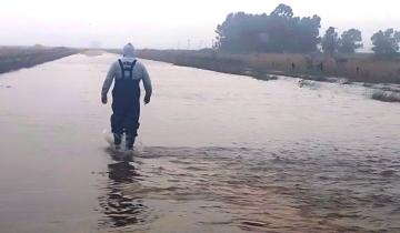 Imagen de Costa Atlántica: el Banco Nación lanza créditos y prórrogas para los damnificados por el temporal
