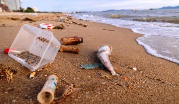 Imagen de La Provincia y el CONICET impulsan un sistema de monitoreo ambiental sobre la Costa Atlántica: de qué se trata