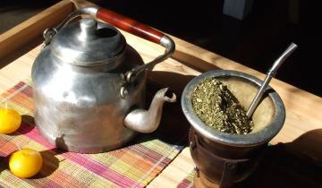 Imagen de La yerba mate causa un efecto preventivo en el desarrollo del Parkinson