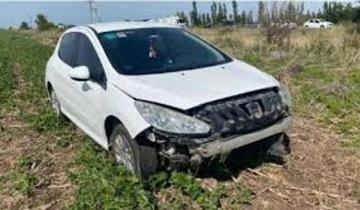 Imagen de Ruta 2: un auto chocó a un carpincho que cruzó la Autovía