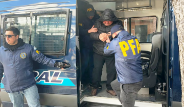 Imagen de Mar de Ajó: caen seis personas tras desbaratar una red internacional que traficaba cálculos biliares de vaca