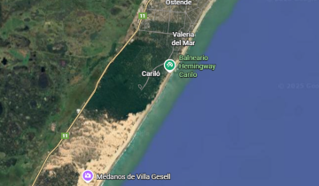 Imagen de Polémico proyecto: vecinos de Cariló quieren levantar un alambrado para separarse de Villa Gesell