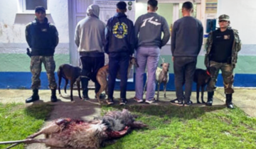 Imagen de General Lavalle: aprehendieron a cuatro personas por caza ilegal de ñandú