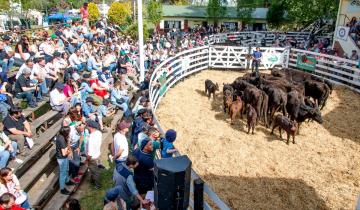 Imagen de Comienza mañana la Expo Rural Dolores: así es el programa definitivo de la edición 2025