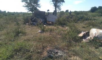 Imagen de Se robaron una avioneta y se estrellaron a poco de despegar: hay cinco muertos
