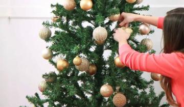 Imagen de 8 de diciembre: por qué hoy se arma el arbolito de Navidad