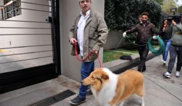 Imagen de Se hizo viral: le dieron el alta a Alberto Fernández y así lo recibió su perro Dylan