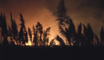 Imagen de El video del feroz incendio en Punta Rasa