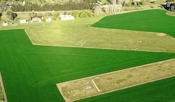 Imagen de Despiden a la mitad del personal de la Estación Meteorológica Dolores