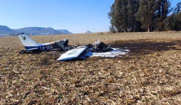 Imagen de La Región: una avioneta con tres geselinos se incendió tras un aterrizaje forzoso