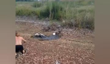 Imagen de Milagro en Dolores: padre e hijo salvan la vida de un hombre que cayó a una cuneta de la Ruta 2