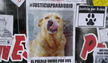 Imagen de Ya suman más de 100 mil firmas para pedir justicia por Rubio, el perro asesinado en Mar del Tuyú