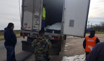 Imagen de Secuestraron 24 mil kilos de pescado fresco en dos camiones que circulaban por la Ruta 11