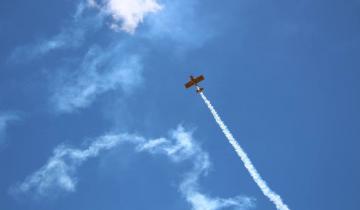 Imagen de Son pilotos de avión, se casaron en el aeroclub y entraron haciendo acrobacias