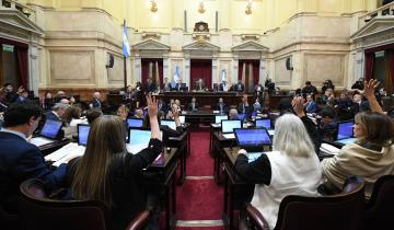 Imagen de Zona Fría: el Senado eliminó el subsidio al gas natural para 24 distritos de la Quinta Sección