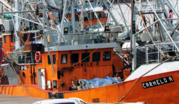 Imagen de Avanzan gestiones para potenciar las exportaciones desde el puerto de Mar del Plata