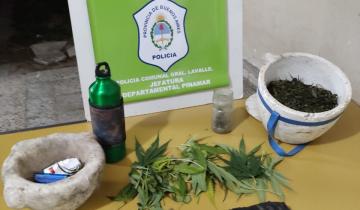 Imagen de Secuestran 6 kilos de marihuana en un terreno de General Lavalle