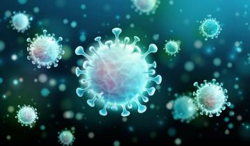 Imagen de Coronavirus: la OMS confirmó la aparición de una variante que combina Ómicron y Delta