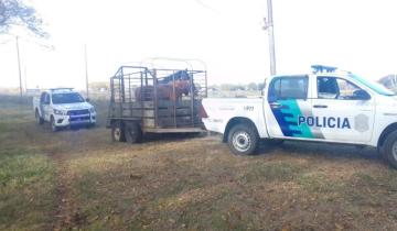 Imagen de La Región: General Lavalle y el Partido de La Costa realizan operativos  para evitar la presencia de caballos sueltos en la vía pública
