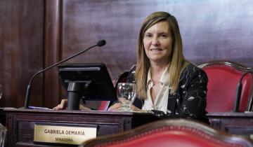 Imagen de Usuarios y consumidores: avanza en la legislatura un proyecto de Demaría para ampliar derechos