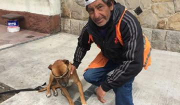 Imagen de Rocco, el perro fiel marplatense que asistió a su dueño al borde del desmayo