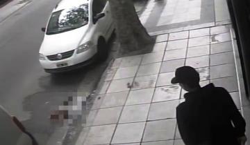 Imagen de Locura en Mar del Plata: un caniche sufrió graves heridas tras ser arrojado desde un 5º piso de un edificio céntrico