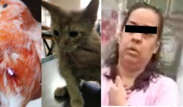 Imagen de Villa Gesell: despidieron a una médica del hospital que tenía denuncias por abuso y mutilación animal