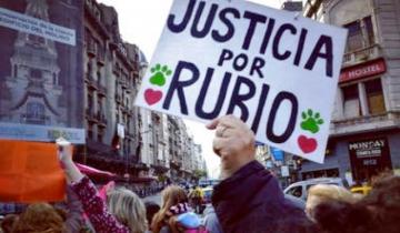 Imagen de A un año del asesinato del perro “Rubio”: en qué estado está la causa judicial
