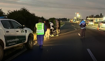 Imagen de Tragedia en la Provincia: una mujer y un niño murieron al ser atropellados por un camión  y un auto cuando cruzaban la ruta