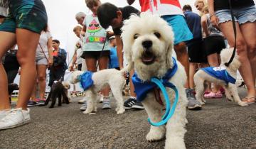 Imagen de La Caninatón convocó a numerosas familias y se consolida como un clásico de La Costa