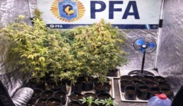 Imagen de Cuatro allanamientos por drogas en Santa Teresita: secuestran más de 7 kilos de marihuana y hay detenidos