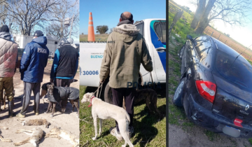 Imagen de Cinco cazadores furtivos fueron interceptados en plena faena en un campo de General Madariaga
