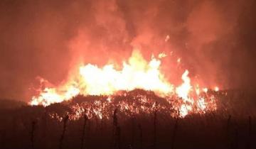 Imagen de Incendio forestal en Sierra de los Padres: el fuego ya alcanzó a 50 hectáreas