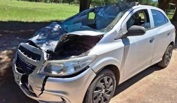 Imagen de Ruta 11: cuatro jóvenes resultaron heridos tras chocar con un caballo
