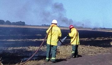 Imagen de Alertan por el alto riesgo de incendios forestales en la Región