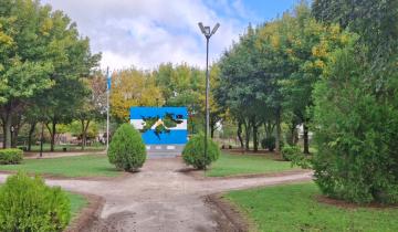 Imagen de Dolores: un rosedal para la memoria busca homenajear a los caídos en Malvinas