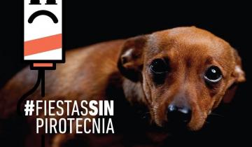 Imagen de La Defensoría bonaerense lanzó una nueva campaña contra el uso de la pirotecnia