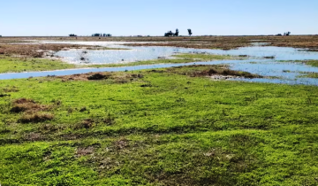 Imagen de Inundaciones en la Provincia: cuál es la situación en los distritos de la Región