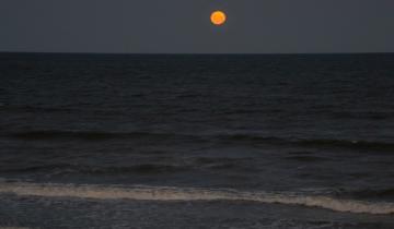 Imagen de San Clemente del Tuyú será sede por primera vez del Día Mundial de los Océanos